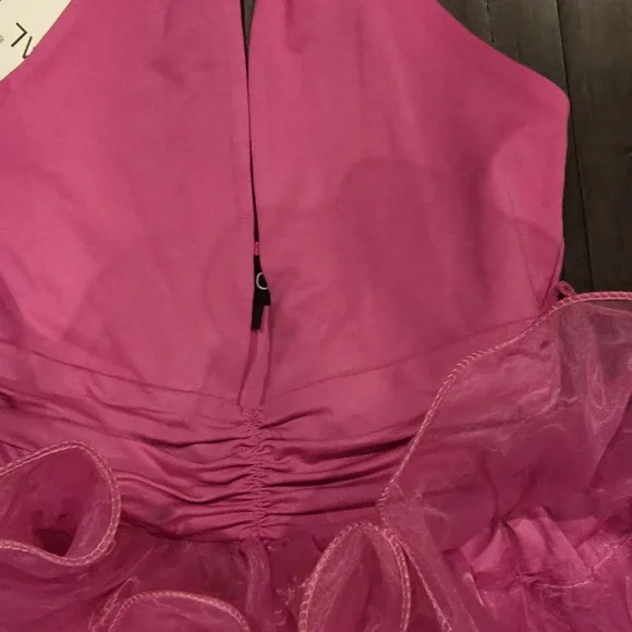 Elegant Pink Ruffled Halter Dress - Picture 3 of 4